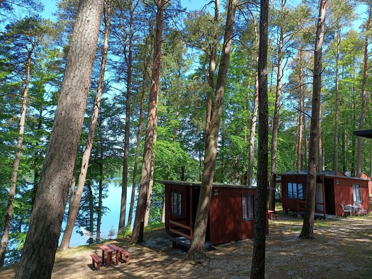 Instytut Wypoczynku - Domki Nad Jeziorem Mausz Sulęczyno Extérieur photo